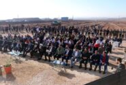 اجرای طرح کاشت چهار میلیون نهال در اراضی ملی کارخانه آلومینای ایران