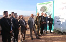 رئیس سازمان منابع طبیعی و آبخیزداری از اقدامات آلومینای ایران تقدیر کرد