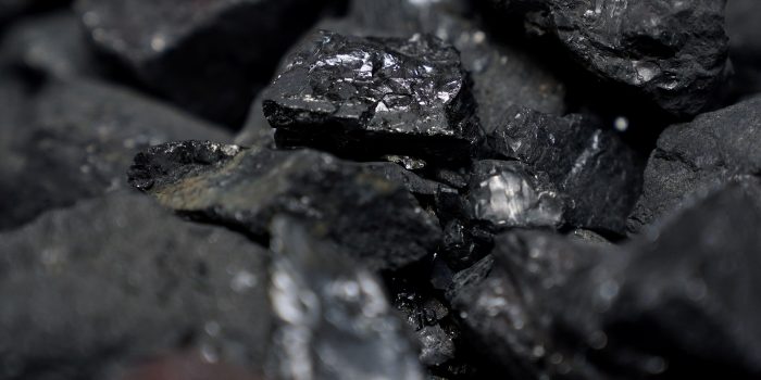 Coal is pictured in a container as people protest against BlackRock investing in coal and tar sands outside their headquarters in the Manhattan borough of New York City, New York, U.S., May 25, 2021.  REUTERS/Carlo Allegri